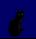blackcat